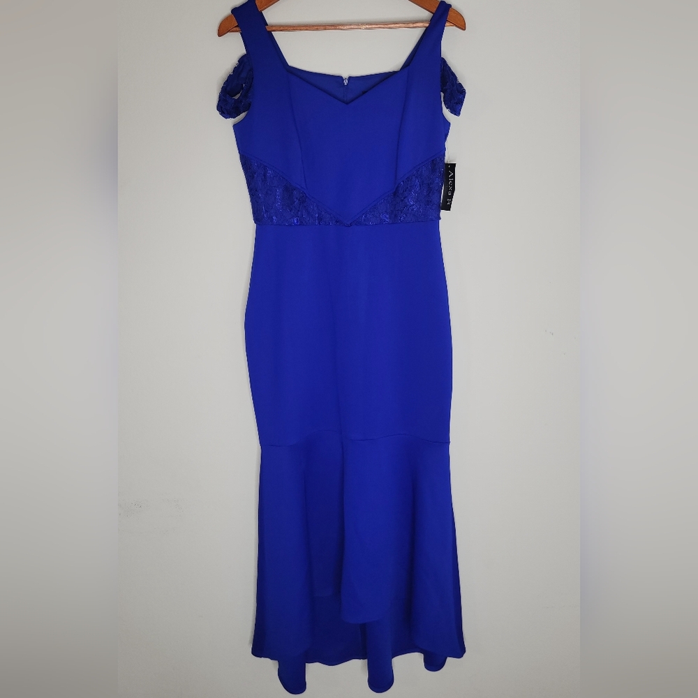 NWT Alexa B Nites Dress